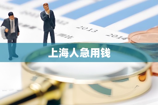 上海人急用钱