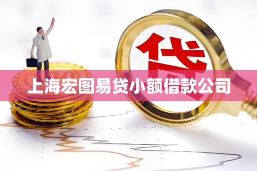 上海宏图易贷小额借款公司