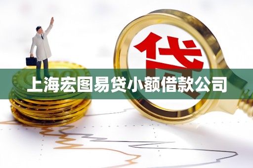 上海宏图易贷小额借款公司